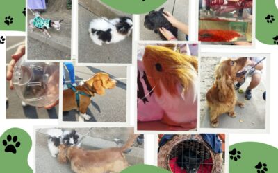 Dan životinja 2023.